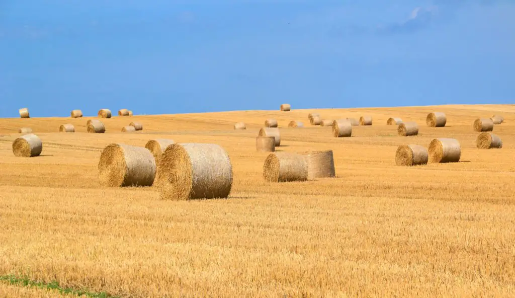 Farmer Work Boots Buying Guide - Photo by Pixabay