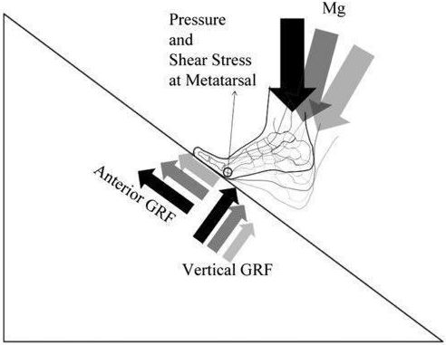 The Effect of Backpack Load Carriage on the Kinetics and Kinematics of Ankle and Knee Joints During Uphill Walking - in Journal of Applied Biomechanics - https://doi.org/10.1123/jab.2016-0221